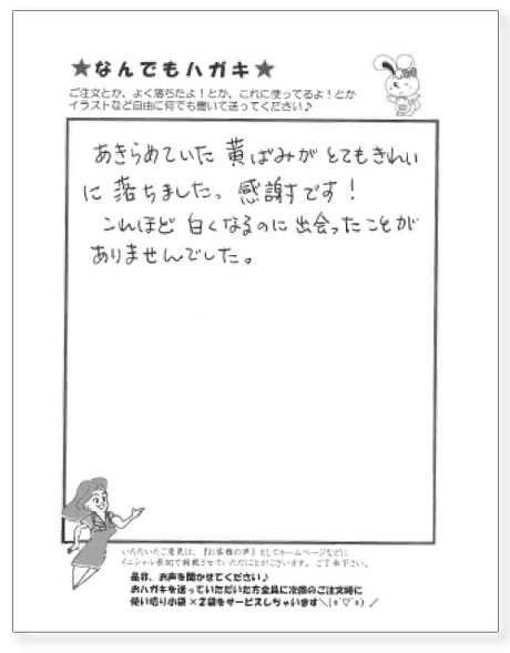 サンソリキを使用したお客様からのはがき