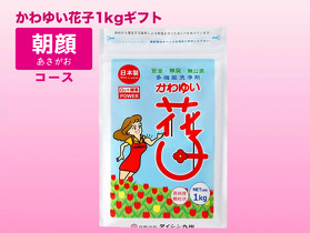 商品一覧 | 酸素の洗剤『かわゆい花子』公式サイト｜製造元有限